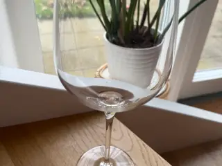 Vin glas, rødvins glas