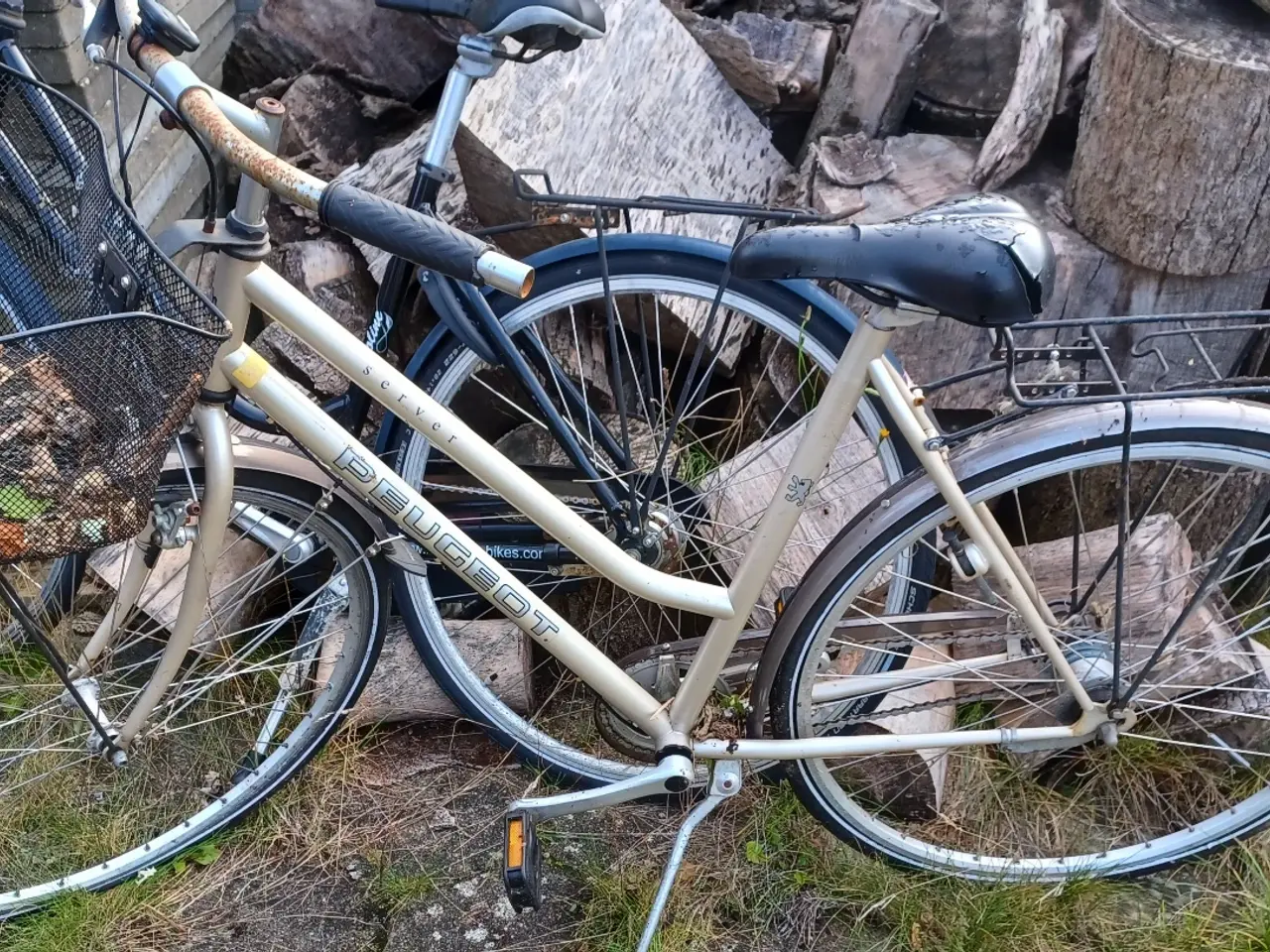 Billede 2 - Cykel søger kærlighed 