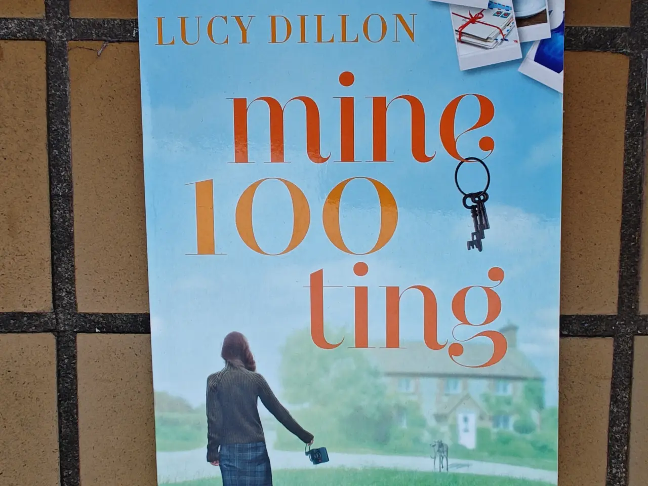 Billede 1 - Mine 100 ting BOG Roman af Lucy Dillon