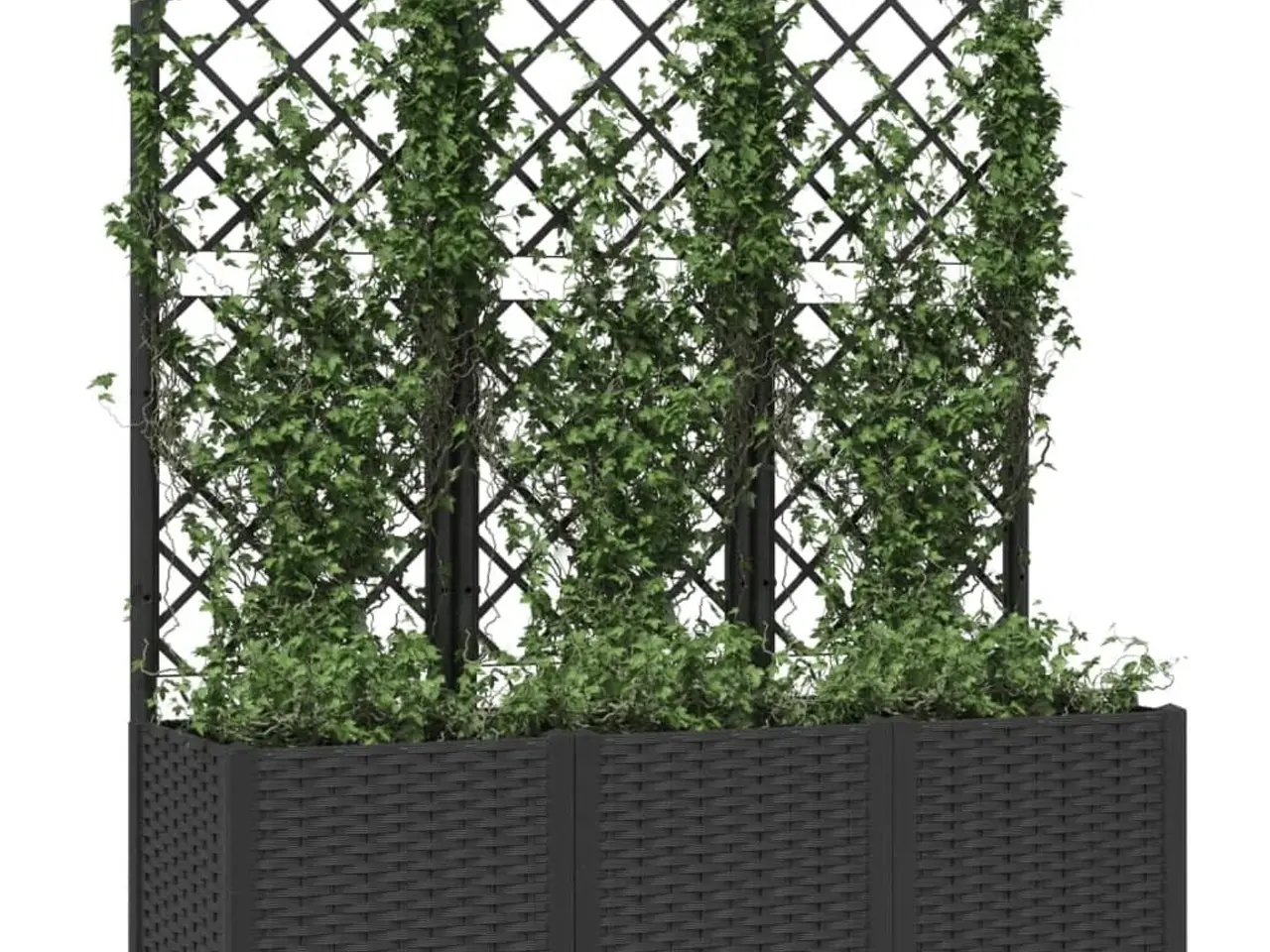 Billede 3 - Haveplantekasse med espalier - sort PP 120×40×136 cm