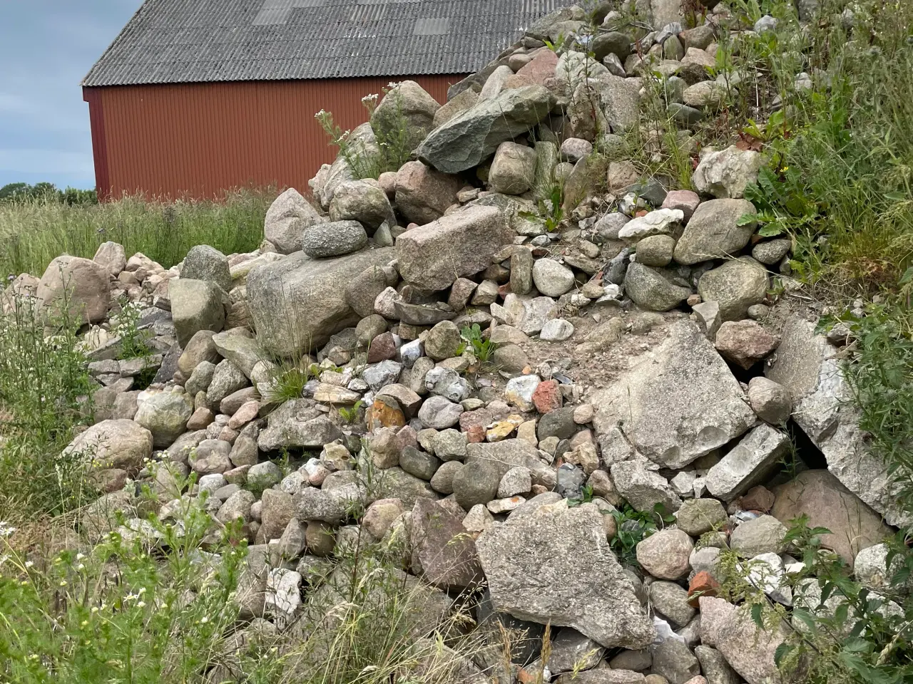 Billede 2 - Marksten i forskellige størrelser