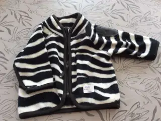 Molo