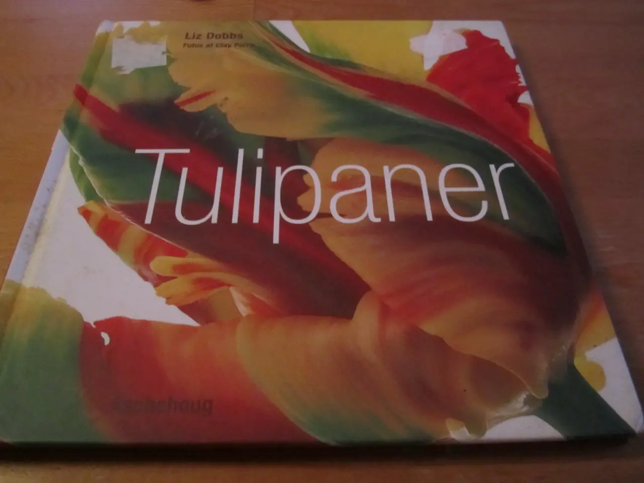 Billede 1 - Lis Dobbs. TULIPANER.