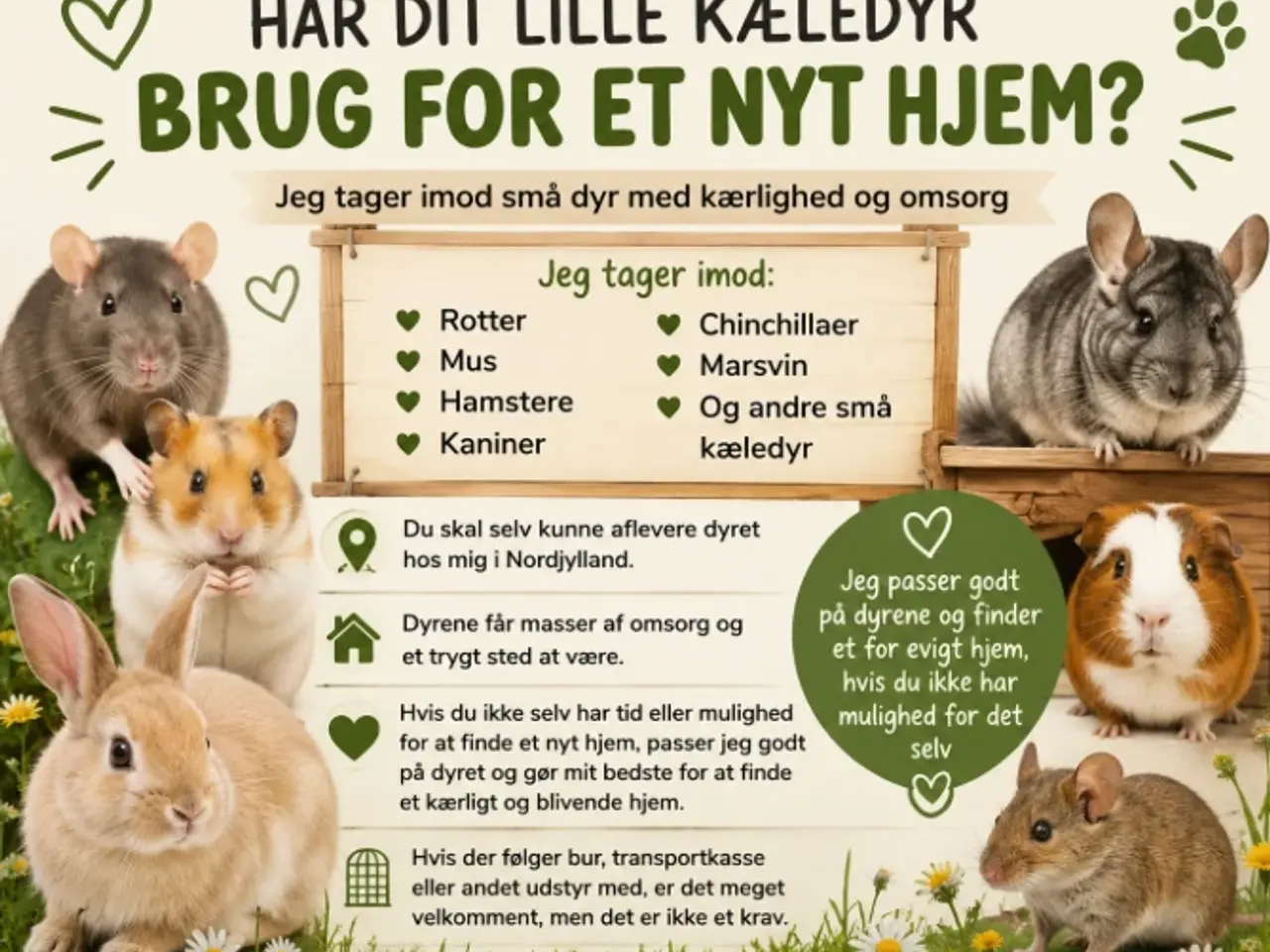 Billede 1 - Søger dit dyr et nyt hjem