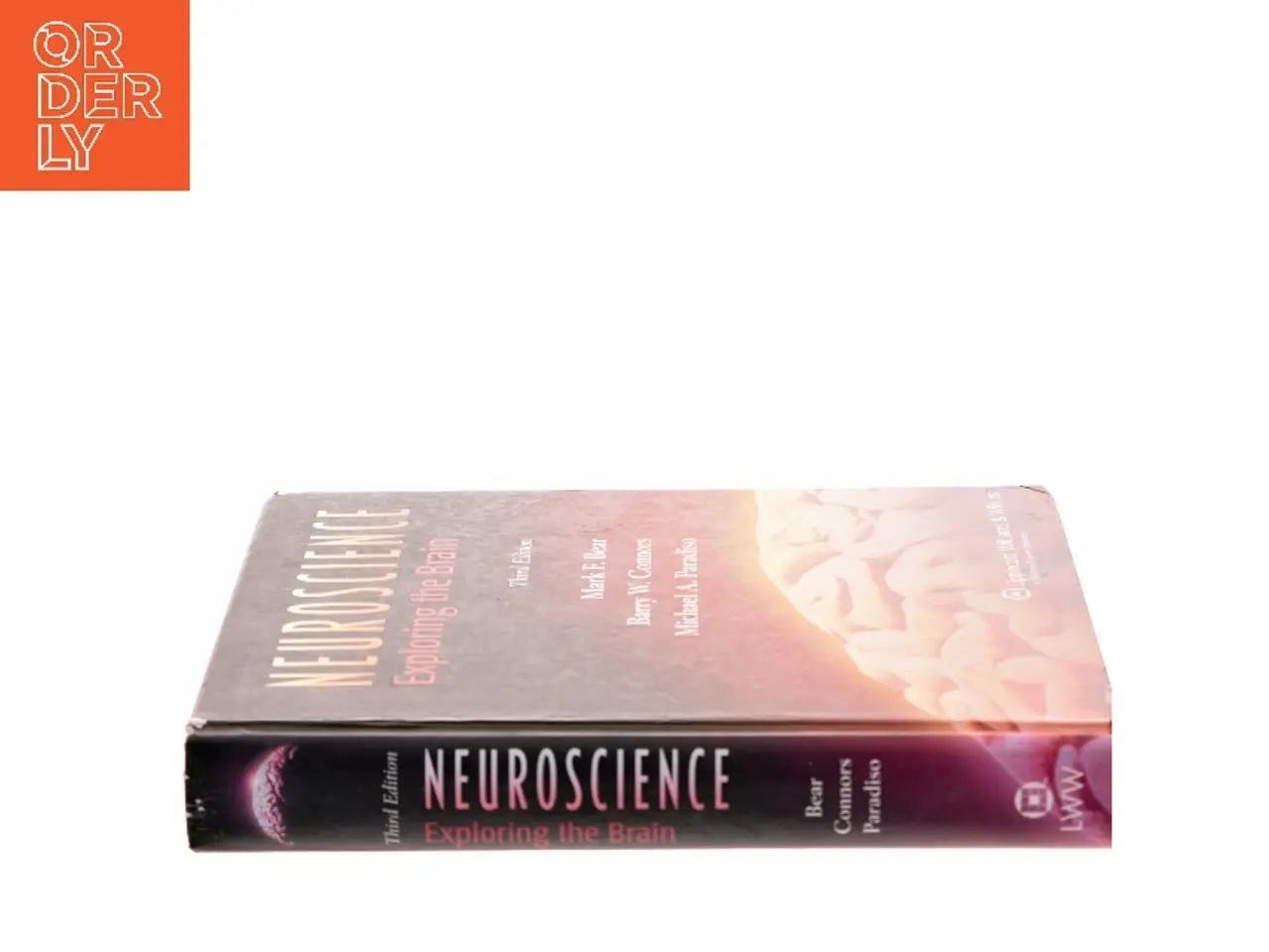 Billede 2 - Neuroscience : exploring the brain (Bog)