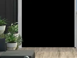 Sammenrullelig sidemarkise til terrassen 170 x 300 cm sort