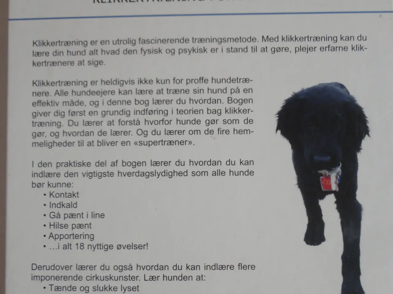Billede 5 - Klikkertræning for din hund  :
