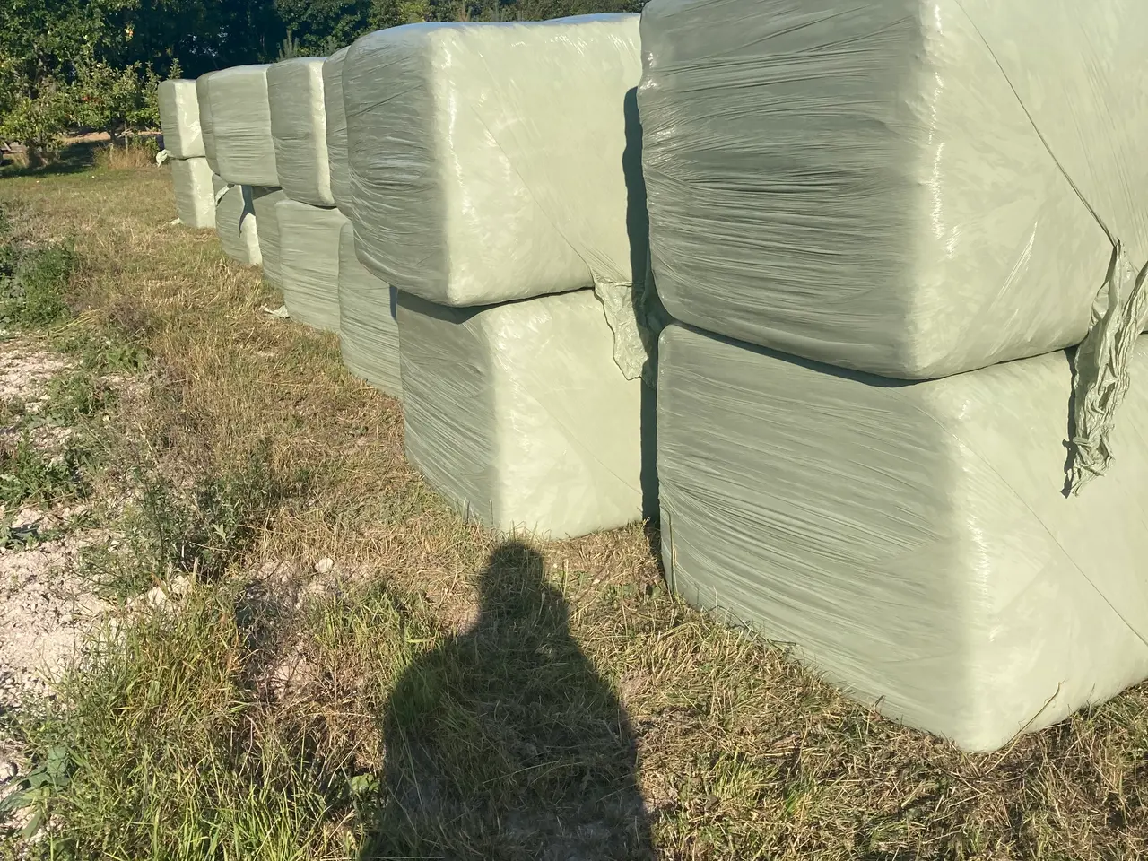 Billede 4 - Wrap 2 slet 2026