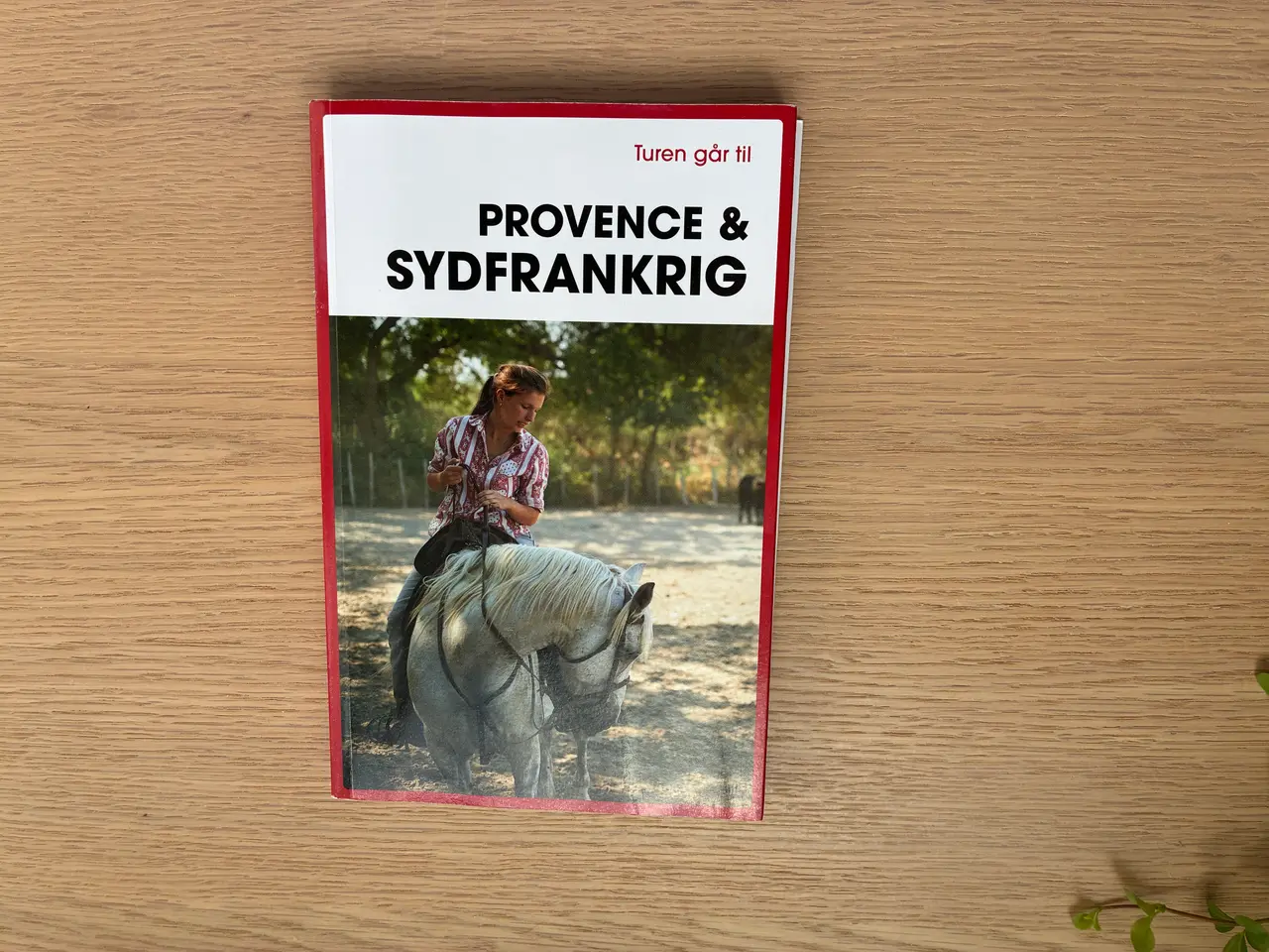 Billede 1 - Turen går til Provence & Sydfrankrig