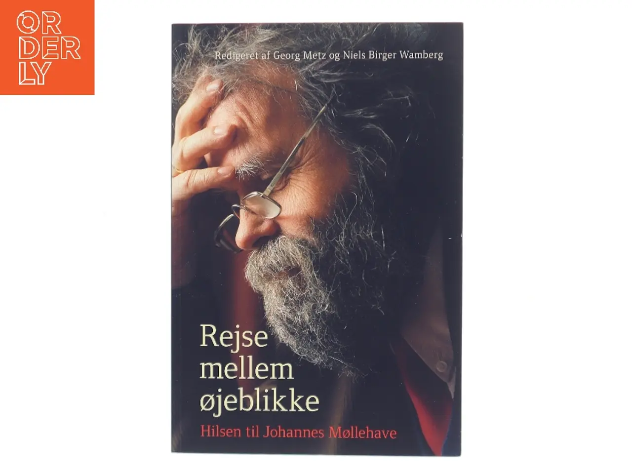 Billede 1 - Rejse mellem øjeblikke : hilsen til Johannes Møllehave (Bog)
