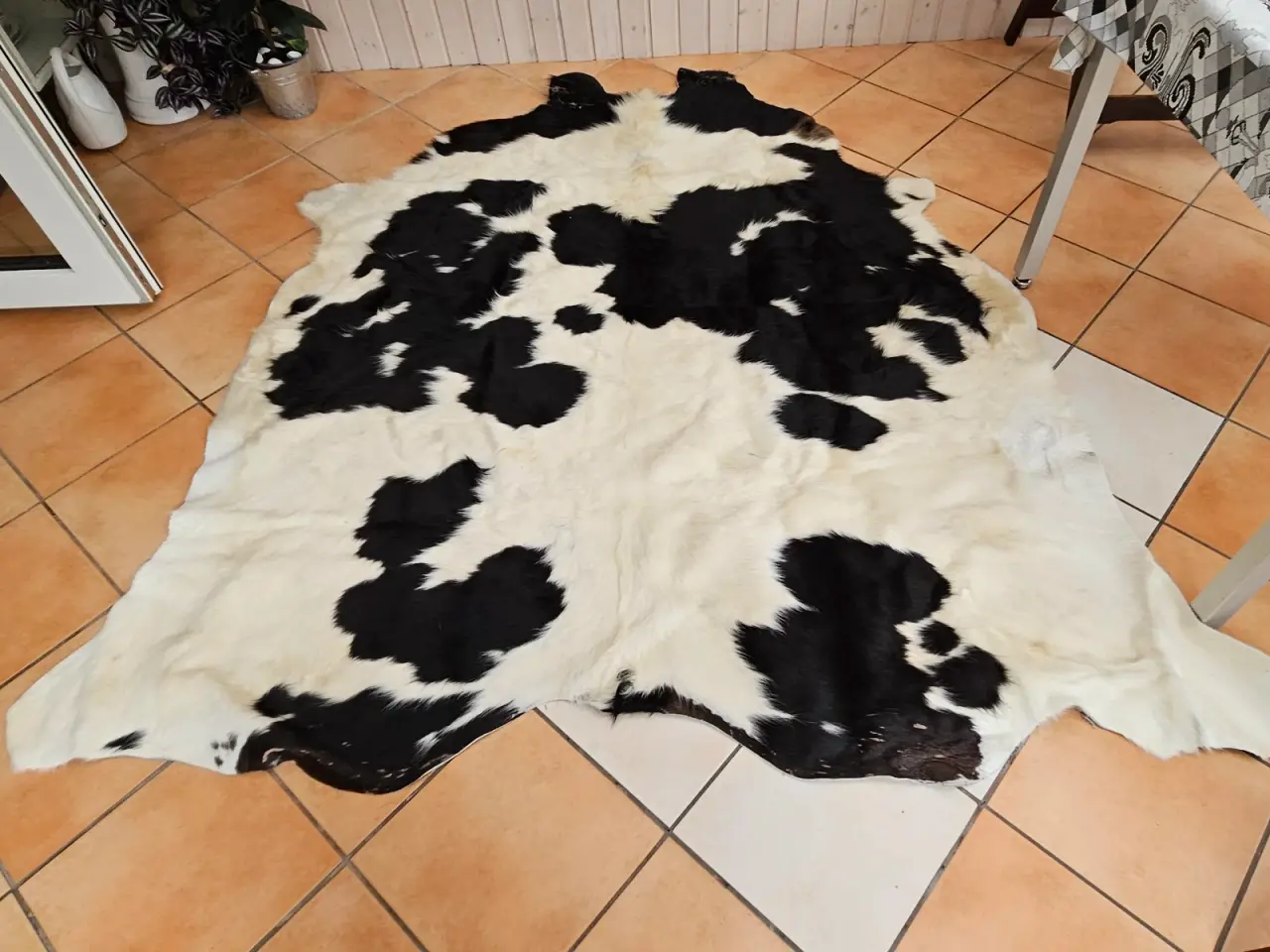 Billede 1 - Koskin cirka 2X2 meter.