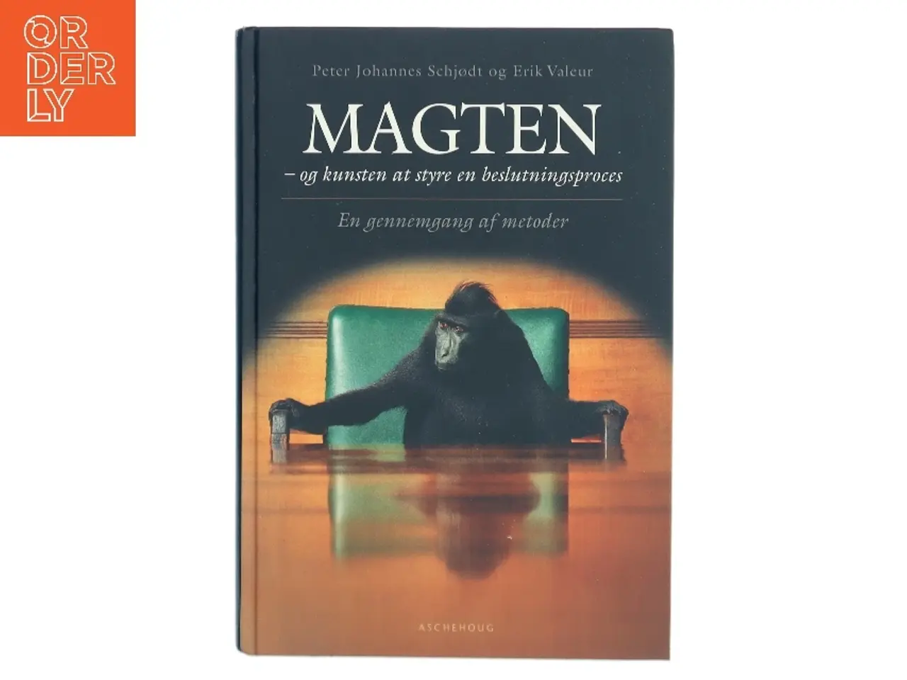 Billede 1 - Magten - og kunsten at styre en beslutningsproces (Bog)