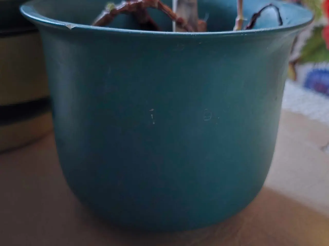 Billede 3 - Urtepotter, urtepotteskjuler, pengetræ