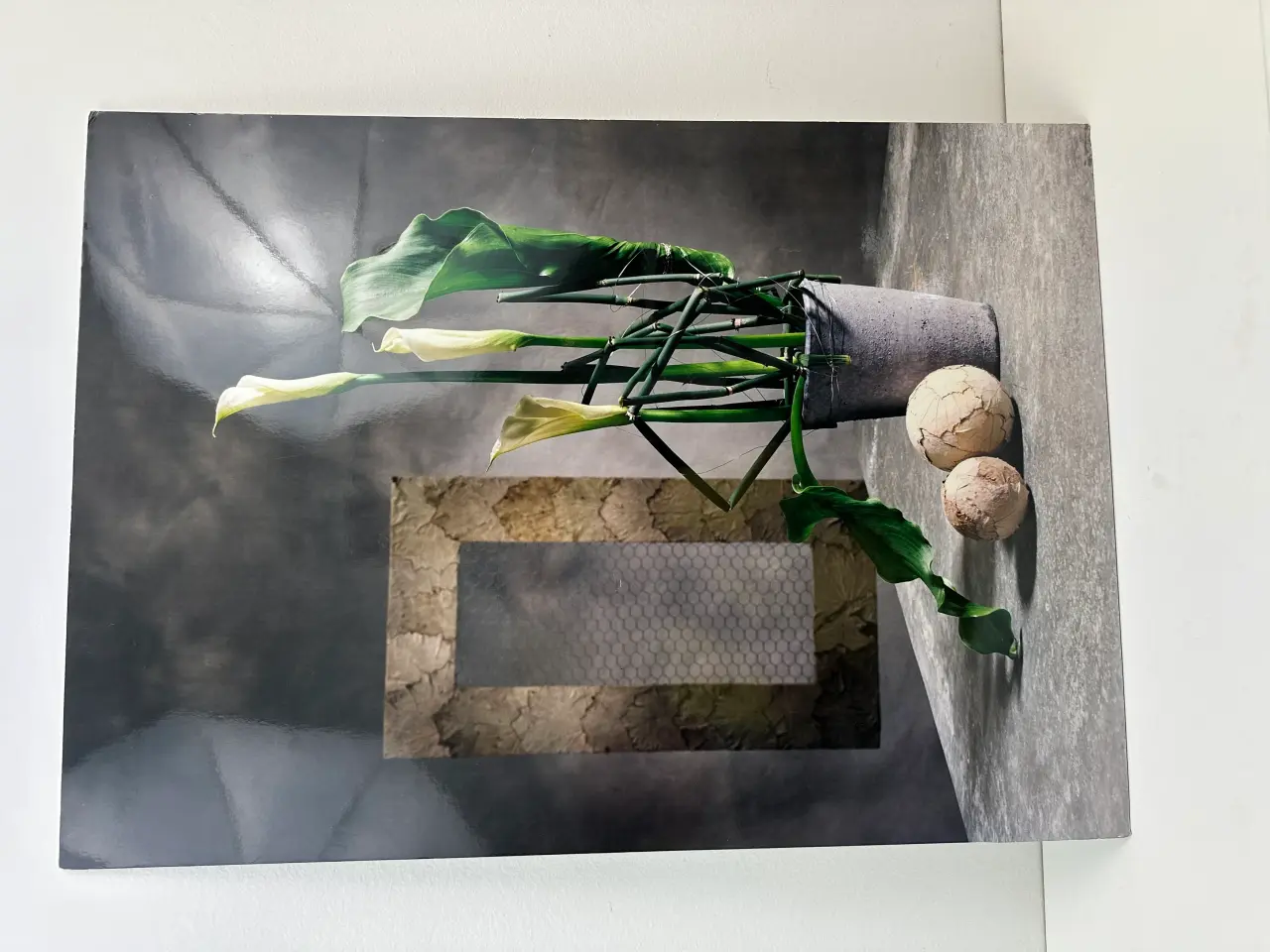 Billede 1 - Originalt foto-kunsttryk på plade (retro)