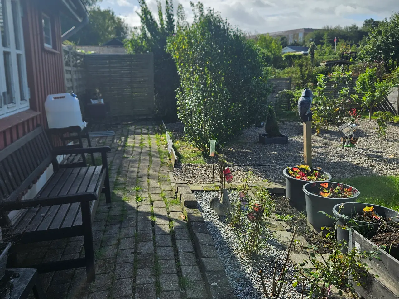 Billede 8 - Kolonihave skomagermosen aabenraa