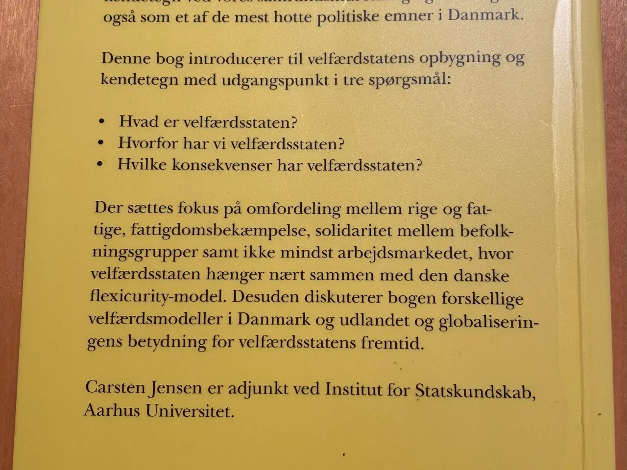 Billede 2 - Velfærdsstaten - Carsten Jensen