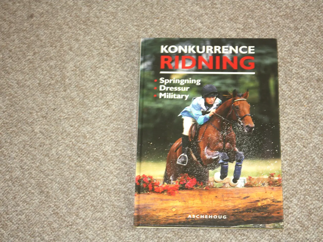 Billede 1 - Konkurrence ridning af Dinny Lund