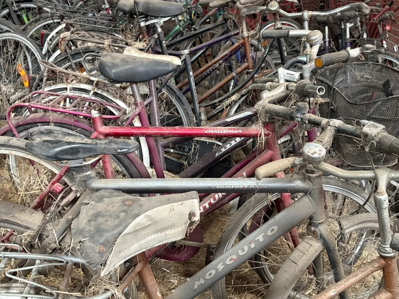 Billede 4 - Cykler til reparation