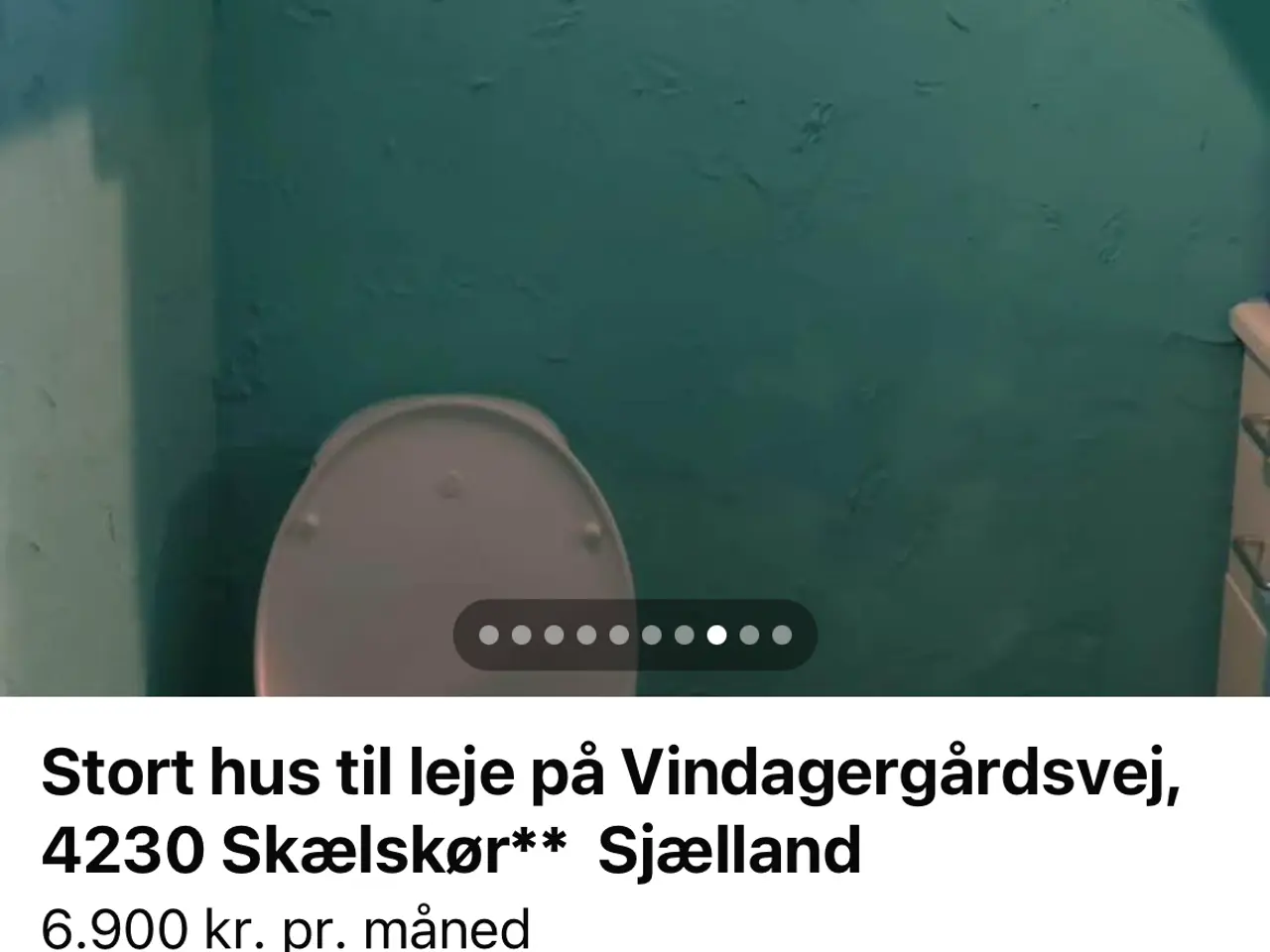 Billede 3 - 2 voksene og to hunde søger nyt varmt hjem 
