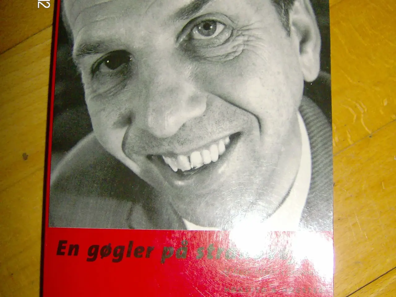 Billede 1 - En gøgler på Strandvejen