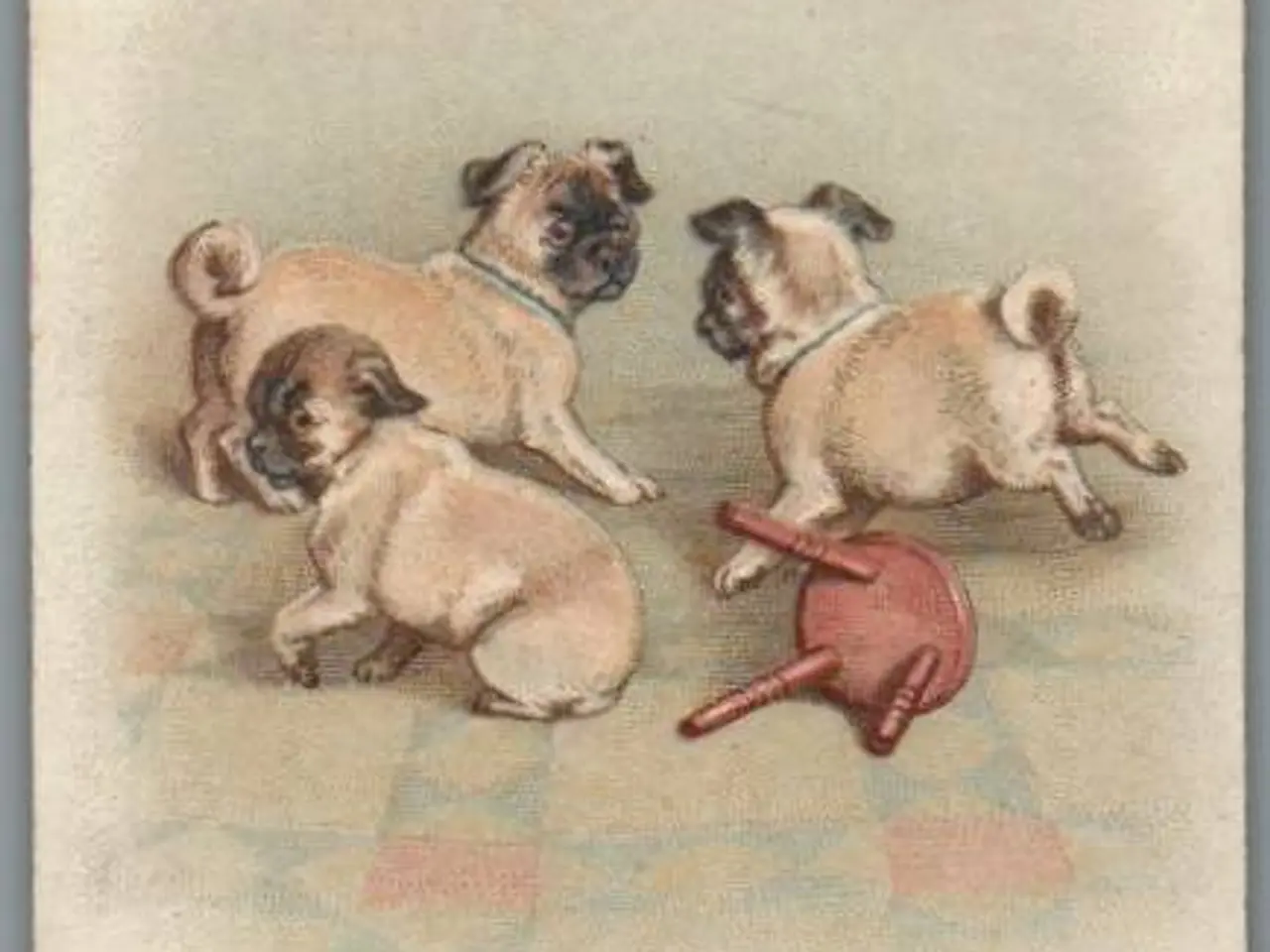 Billede 1 - Kartonkort - Lille Irene - Hundehvalpe