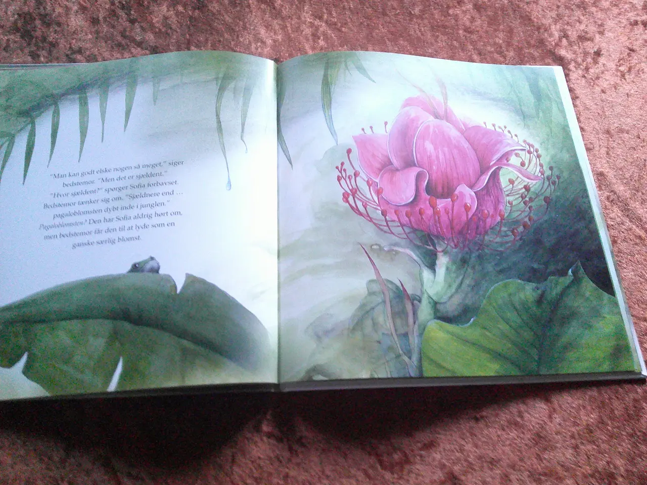 Billede 2 - Vild med dig, An Swerts