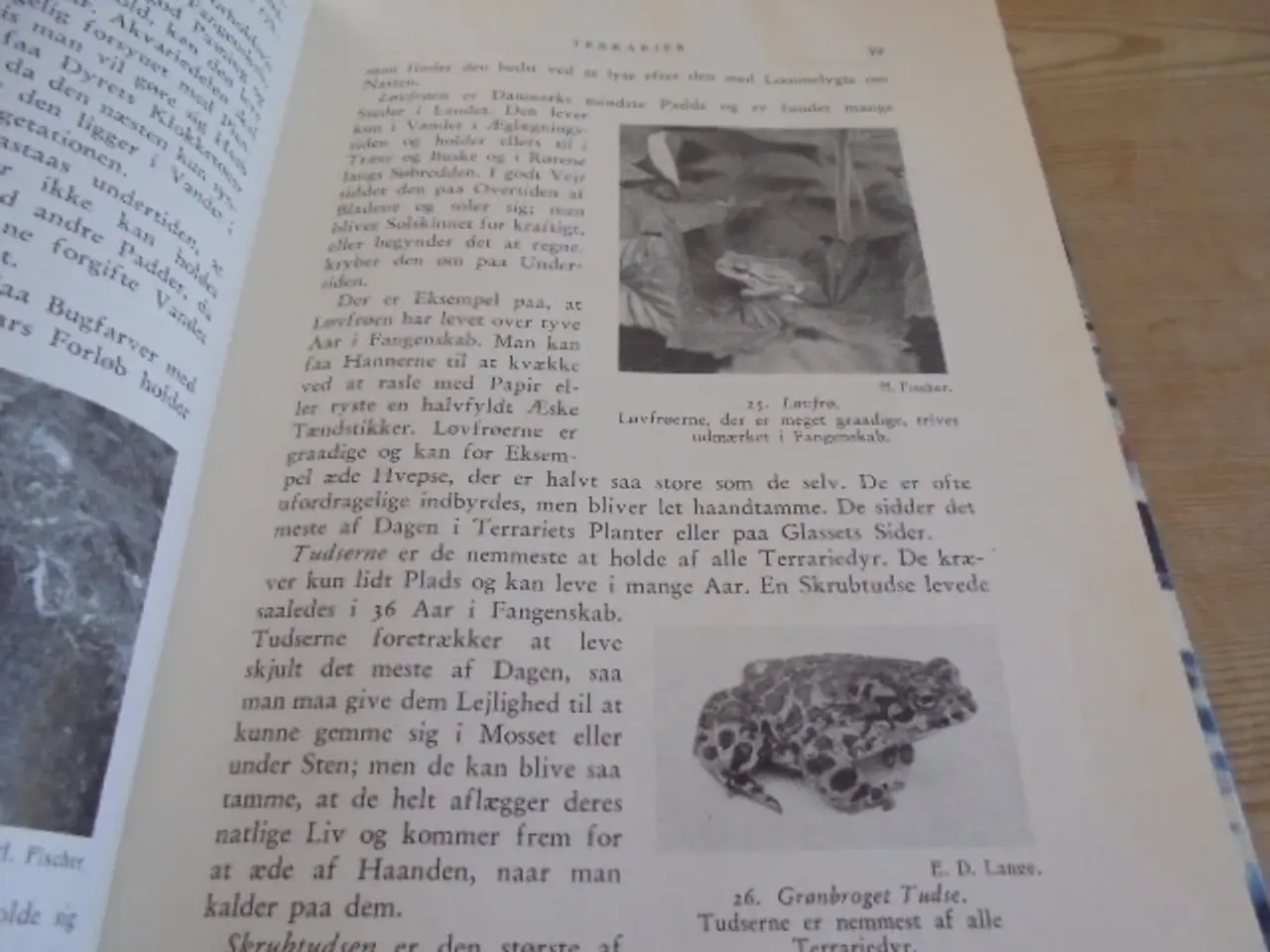 Billede 2 - Natursamleren – Hans Hvass – udg. fra 1942