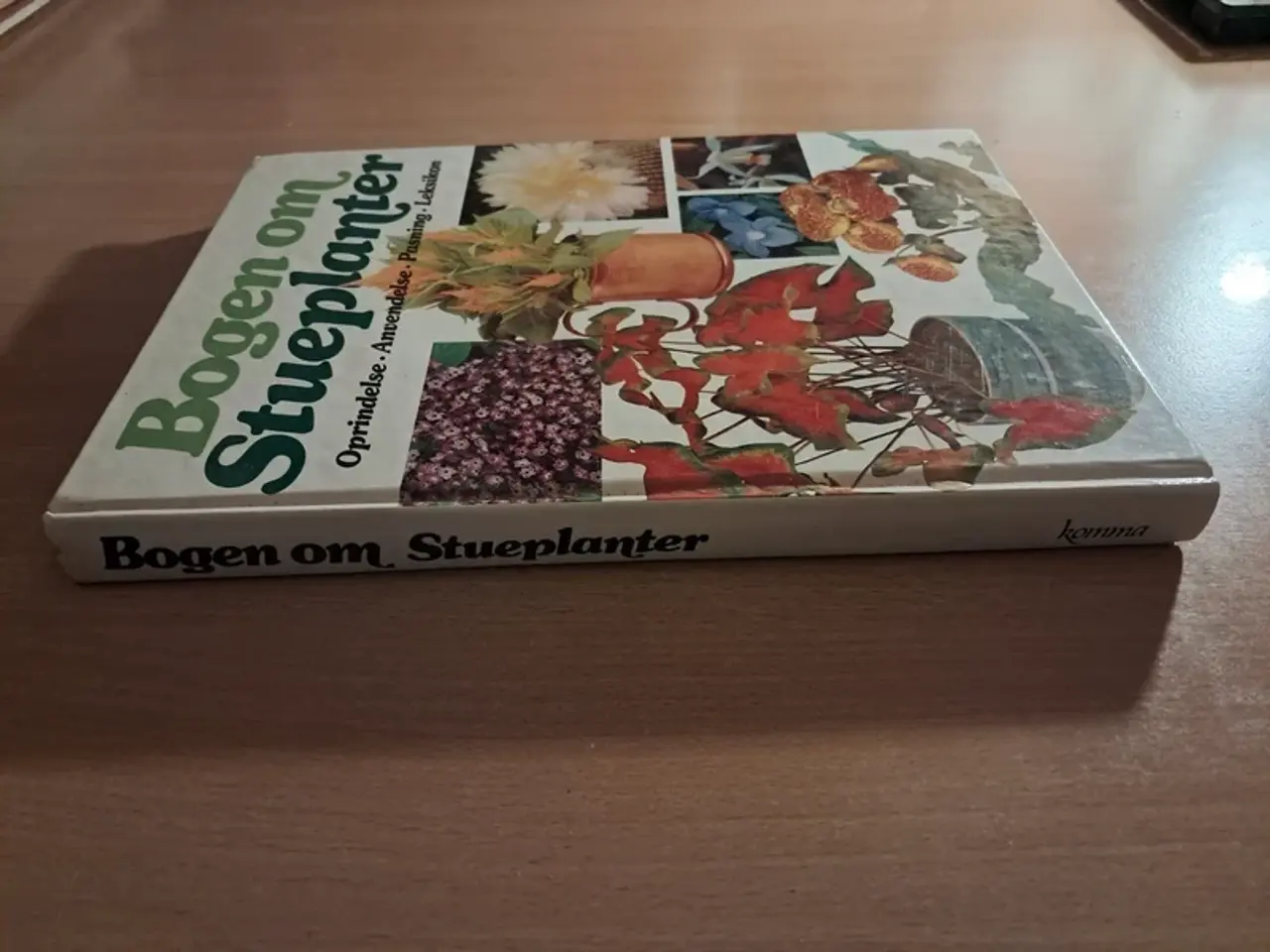 Billede 3 - Bogen om Stueplanter Bog