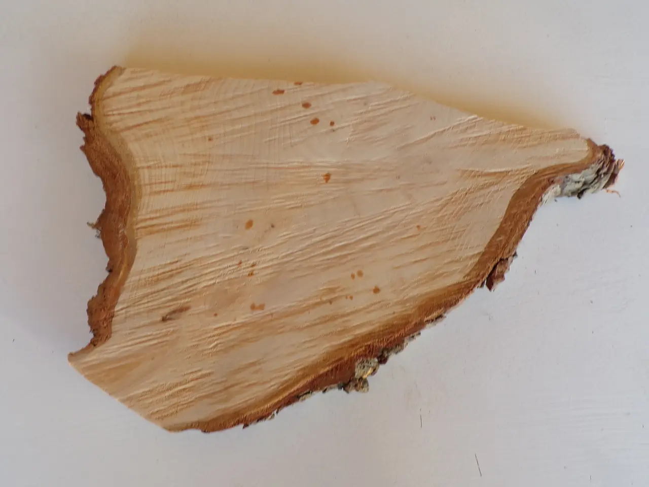 Billede 3 - NY Thuja Træskive 33 cm