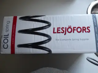 Bagfjedre, Lesjofors