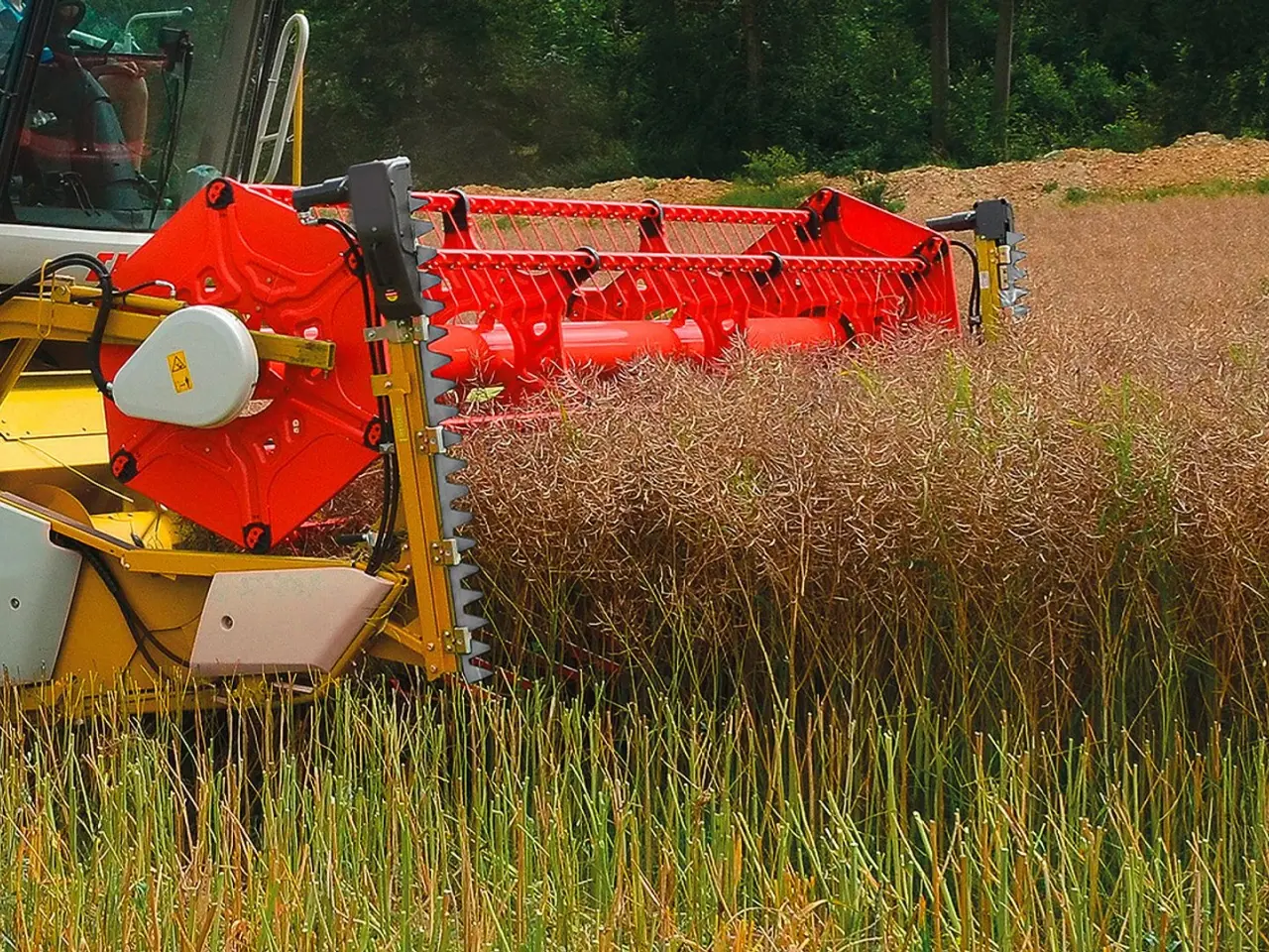 Billede 19 - John Deere 9150mm bord til John Deere 630R skærebord. Raps fortssats, Raps bord ,rapeseed harvesting equipment, Rapstrennern