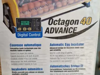 Brinsea, Orcagon 40 Advance