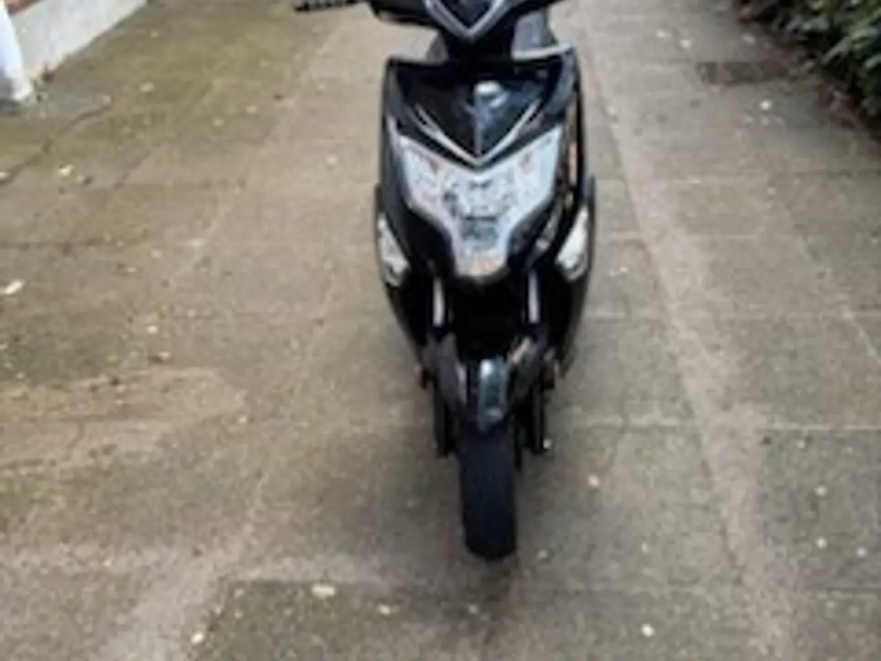 Billede 2 - VGA Scooter Eplora Euro-5 - 30