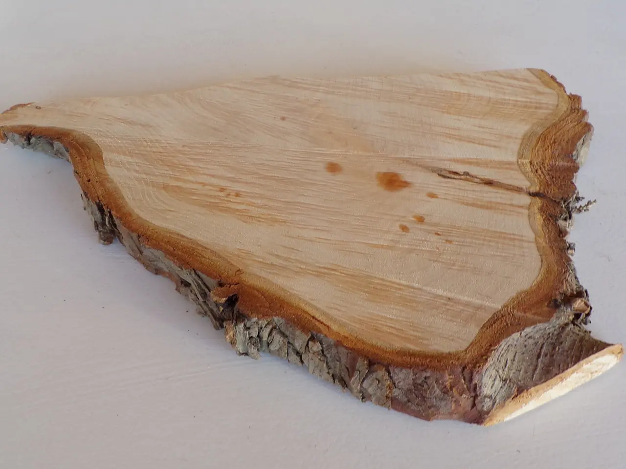 Billede 2 - NY Thuja Træskive 33 cm