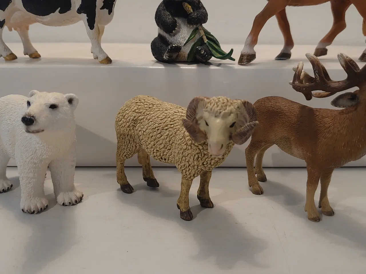 Billede 3 - 6 stk store Schleich dyr. Kun samlet.