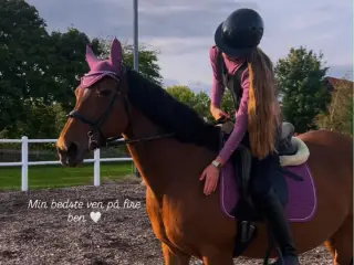 Malou søger sit nye kærlige hjem.