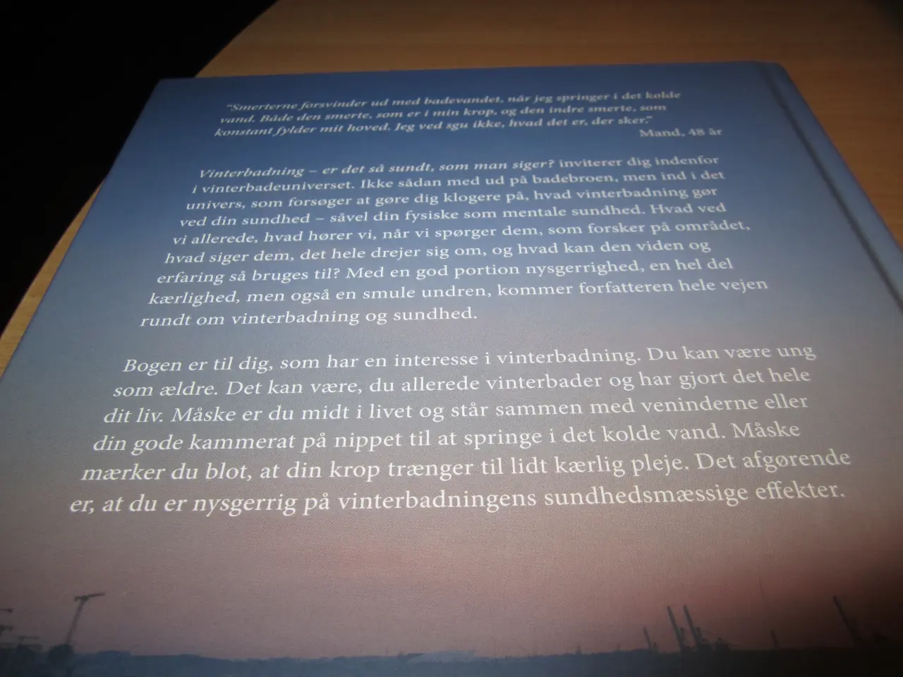 Billede 2 - BYD. VINTERBADNING. Jette Skrædderdal.