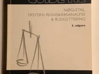 Guide til Nøgletal ekstern regnskabsanalyse & budg