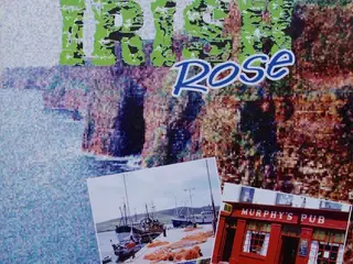 Michael Feeny's Irish… – My Wild Irish Rose – CD