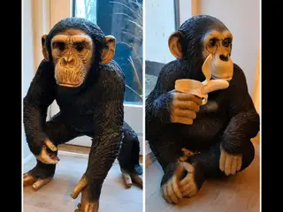 Chimpanser figur