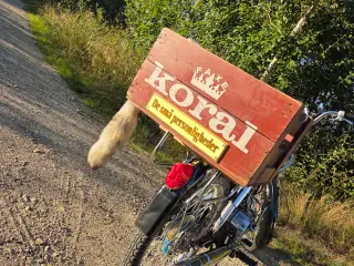 Knallert klub/merchandise 