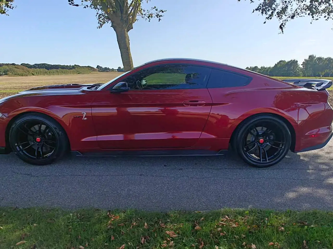 Billede 6 - Ford Mustang GT V8