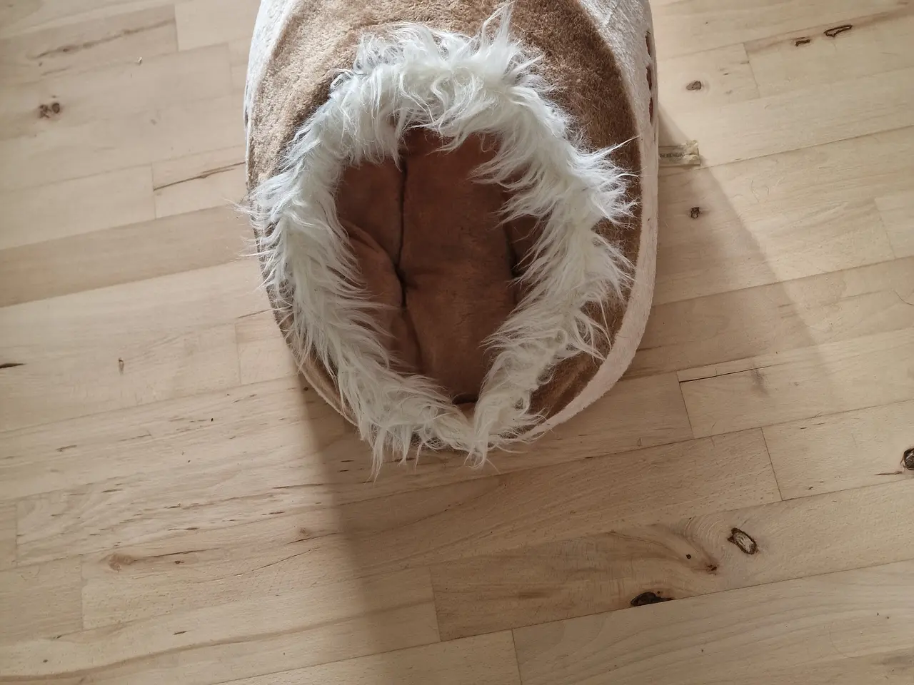 Billede 3 - Katte udstyr