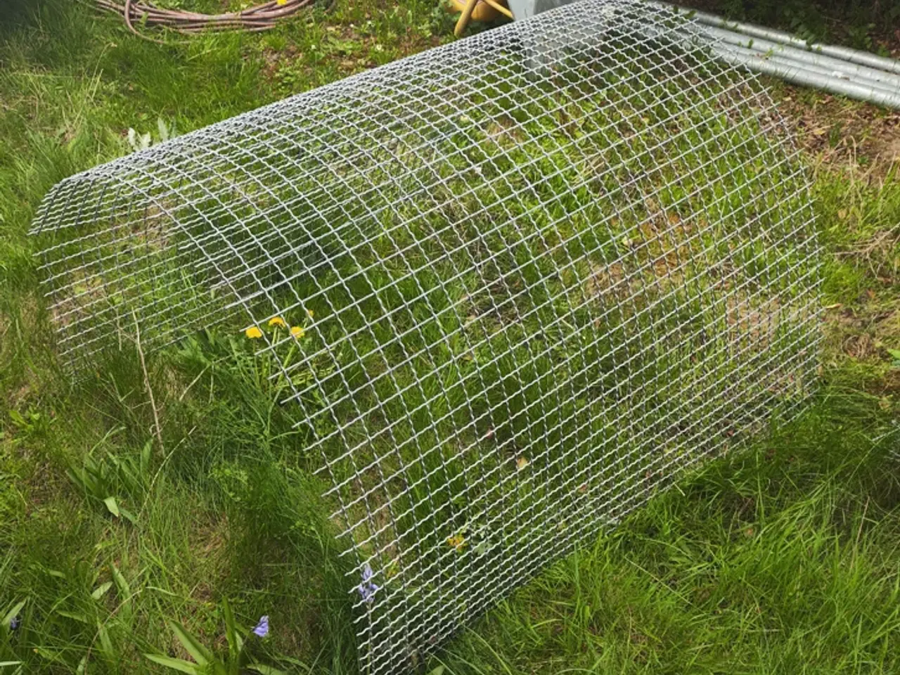 Billede 1 - Espalier, Galvaniseret trådnet til espalier/Hegn