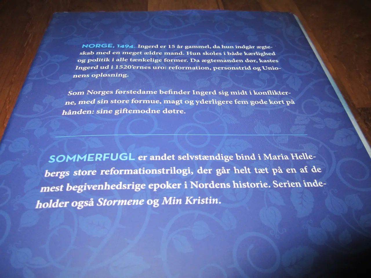 Billede 3 - Maria Helleberg. SOMMERFUGL. BYD.