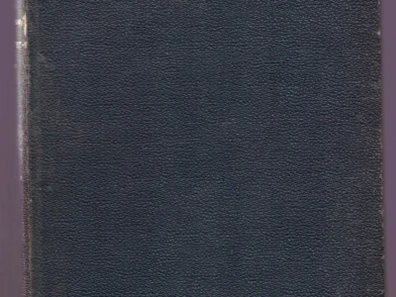 Billede 1 - Guy de Maupassant: Vandrerliv