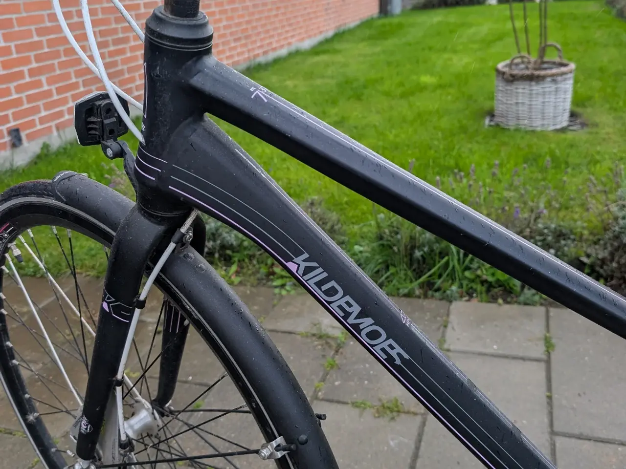 Billede 3 - Dame cykel 