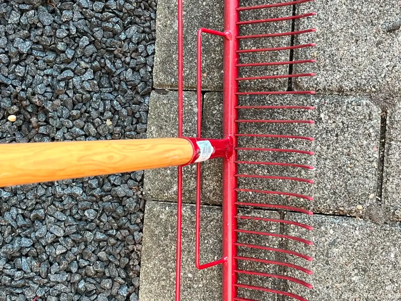 Billede 3 - Plænerive