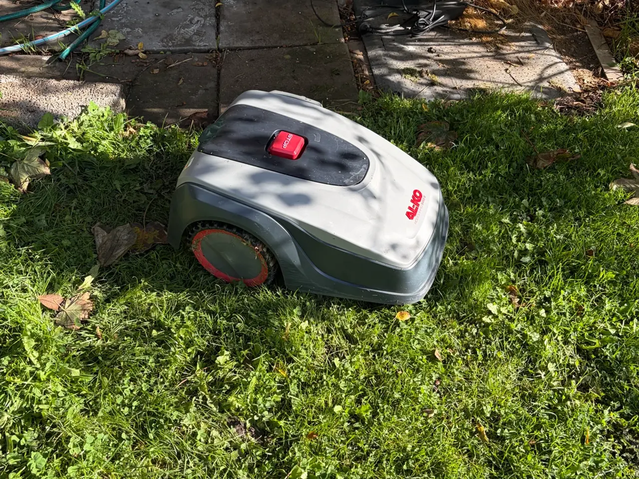 Billede 3 - AL-KO Robolinho 500 E robotplæneklipper