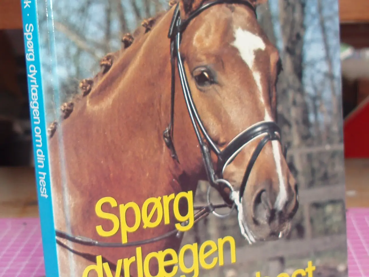 Billede 1 - Spørg Dyrlægen om din hest af Kristine Elbæk
